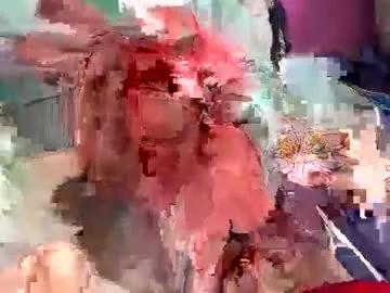 cutedickboii from Chaturbate is Freechat