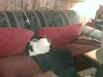 daddycubbyhubby from Chaturbate is Freechat