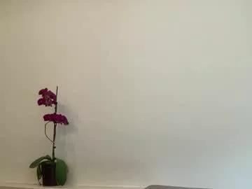 harryslutwhore from Chaturbate is Freechat