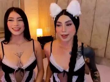 Checkout the world of free chat sex and chat with our steamy slutz, bringing your cherished characters to life with authentic outfits and live productions.