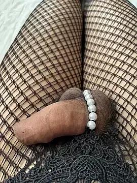 Photos of _k4ty-X from StripChat is Freechat