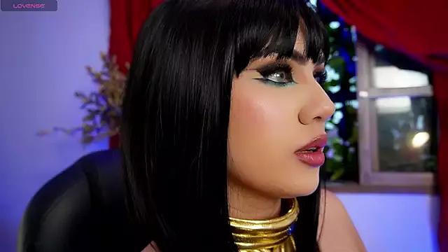 Checkout the world of free chat sex and chat with our steamy slutz, bringing your cherished characters to life with authentic outfits and live productions.