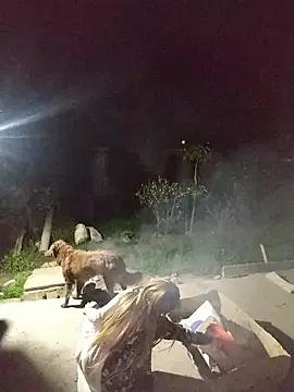 Ariana_bb from StripChat is Freechat