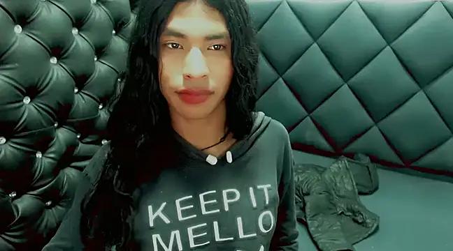 Checkout the world of free chat sex and chat with our steamy slutz, bringing your cherished characters to life with authentic outfits and live productions.