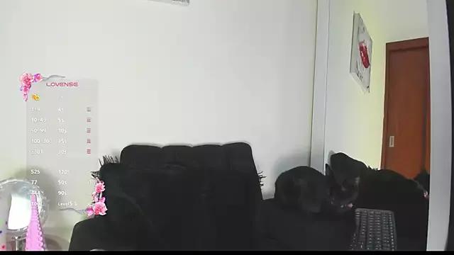 Checkout the world of free chat sex and chat with our steamy slutz, bringing your cherished characters to life with authentic outfits and live productions.