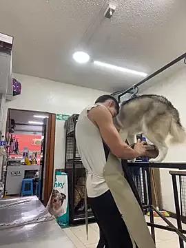 Checkout the world of free chat sex and chat with our steamy slutz, bringing your cherished characters to life with authentic outfits and live productions.