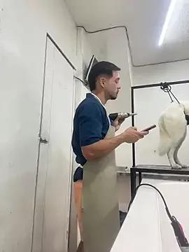 Checkout the world of free chat sex and chat with our steamy slutz, bringing your cherished characters to life with authentic outfits and live productions.