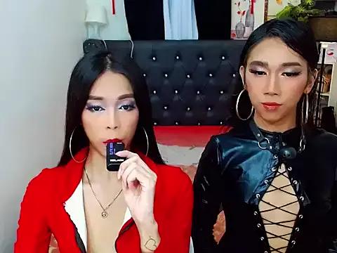 Checkout the world of free chat sex and chat with our steamy slutz, bringing your cherished characters to life with authentic outfits and live productions.