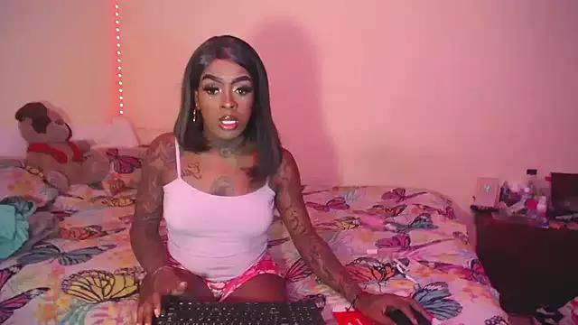 Checkout the world of free chat sex and chat with our steamy slutz, bringing your cherished characters to life with authentic outfits and live productions.