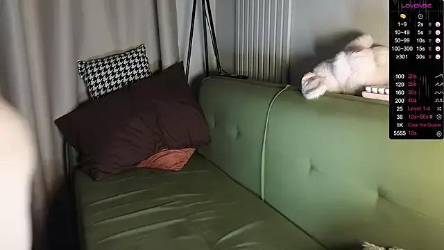 Checkout the world of free chat sex and chat with our steamy slutz, bringing your cherished characters to life with authentic outfits and live productions.