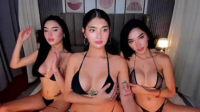Checkout the world of free chat sex and chat with our steamy slutz, bringing your cherished characters to life with authentic outfits and live productions.