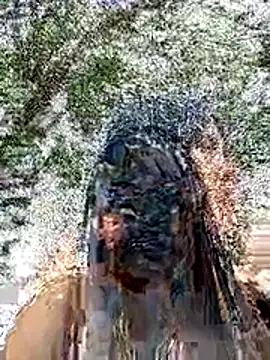 Skinny_Wet from StripChat is Freechat