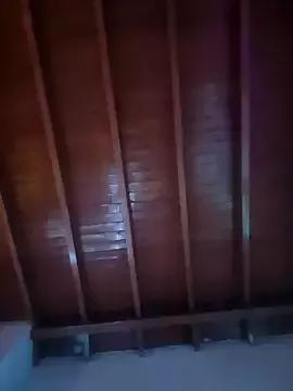 VelvetMoon11 from StripChat is Freechat